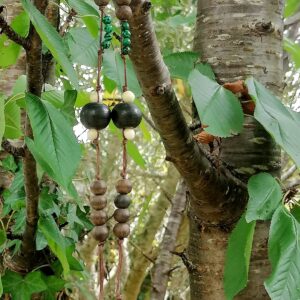 Collier nature – Bois très ancien de chêne des marais, Graine Tagua, Malachite synthèse -« Hymne »