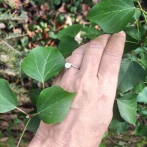 Bague réglable, fermée, en argent sterling 925 et perle d’eau douce sur socle de nacre