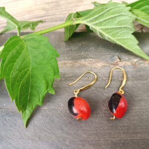 Boucle d&rsquo;oreilles graines de caconnier sur accroches plaqué or sur argent